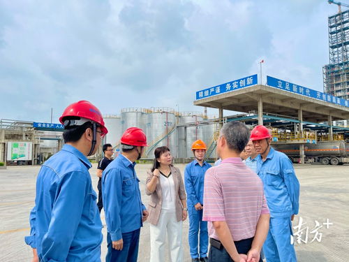 多图直击 黄奕奕率队深入茂南，调研危化品企业安全生产工作
