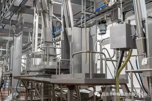 重点项目巡礼 山东雅拉生态食品产业园——以“四化”驱动，再创产业新高